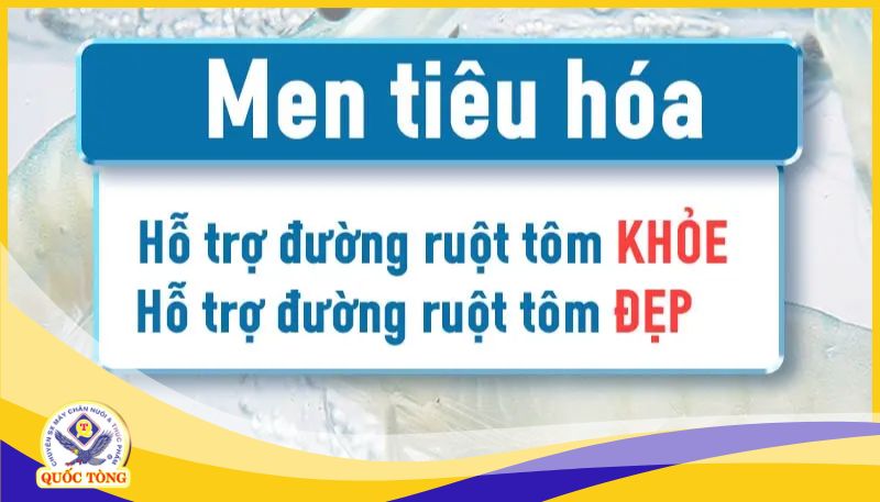 lợi ích men tiêu hóa dạng bột cho tôm